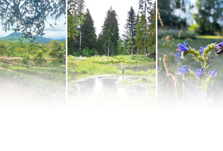 Unsere Projekte - Sonic Suisse
